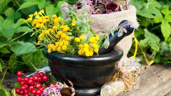 Растителни отвари