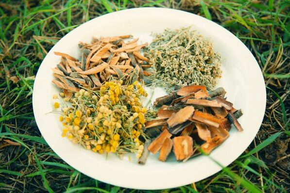 народни средства за глисти и паразити при хората